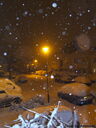 2009_0202snowing0008.JPG