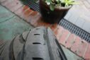 tyre_damage_0101.jpg