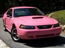 Pink_Mustang.jpg